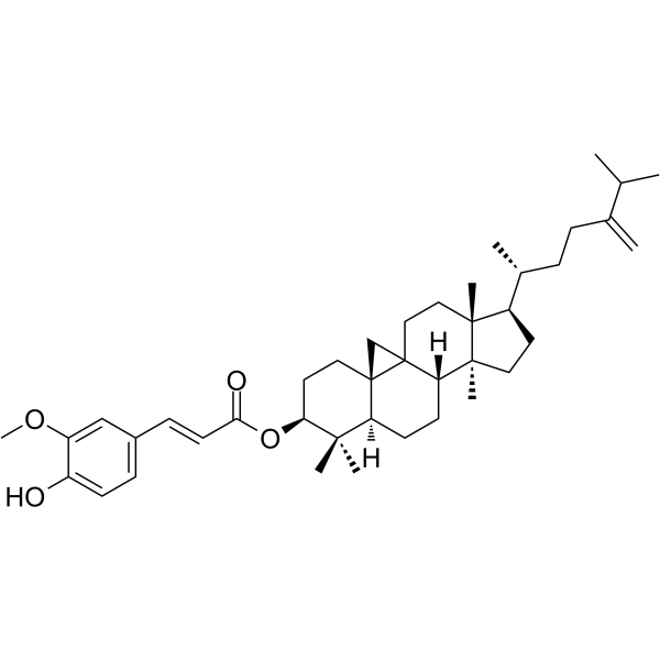24-Methylene cycloartanyl ferulate 469-36-3
